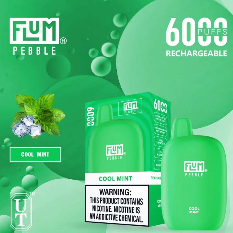 FLUM PEBBLES 6000使い捨てベイプ - クールミント：爽快さと利便性を極めた次世代デバイス